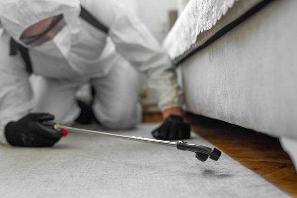 Professional Termite Control technician working in Palm Beach County County, FL